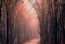 C7娱乐官网：[图]詹姆斯26分12助克内克特37分 力克爵士.