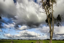 C7娱乐官网：奥萨苏纳vs赫塔费：布季米尔、萨拉戈萨首发，胡安米、戴维-索里亚出战.