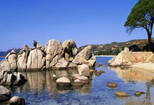 斯诺克战报：6-3，6-0，2虎会师4强，墨菲7连败.